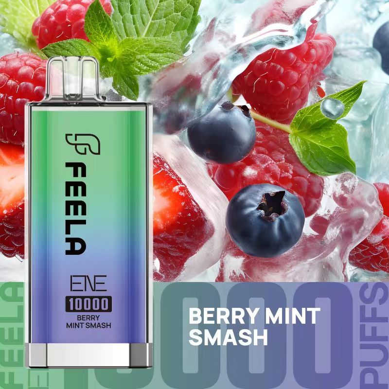 Feela ENE/Elux 10000 Disposable Vape Puff Pod Box of 10-Berry Mint Smash-vapeukwholesale