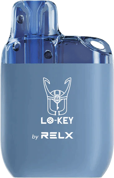 RELX Lo-key 600 Puffs Disposable Vape Pod Box of 10-Blueberry Cherry Cranberry-vapeukwholesale