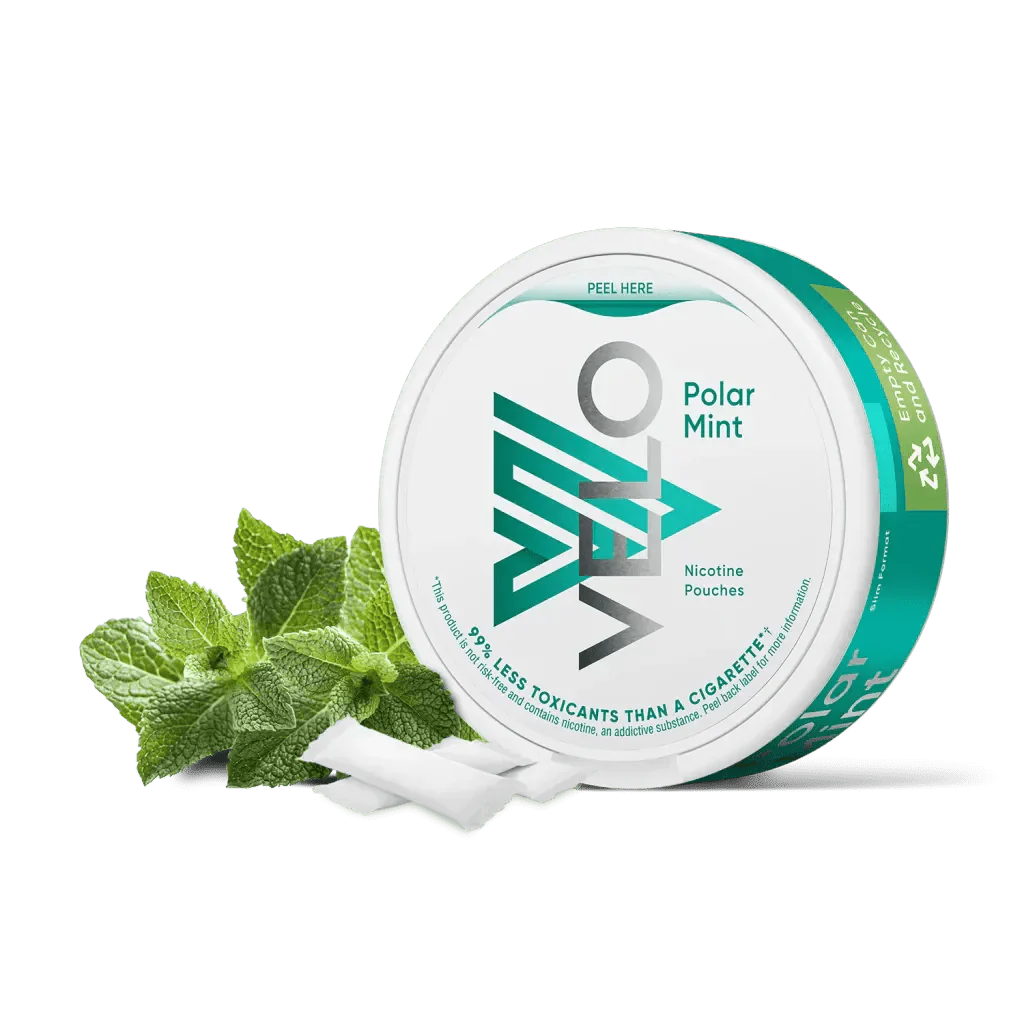 VELO Nicotine Pouches Pack of 10-Polar Mint-vapeukwholesale