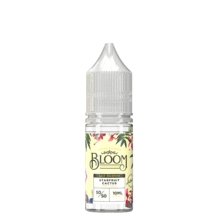 Bloom 10ml Nic Salt (Pack of 10)-10mg-vapeukwholesale