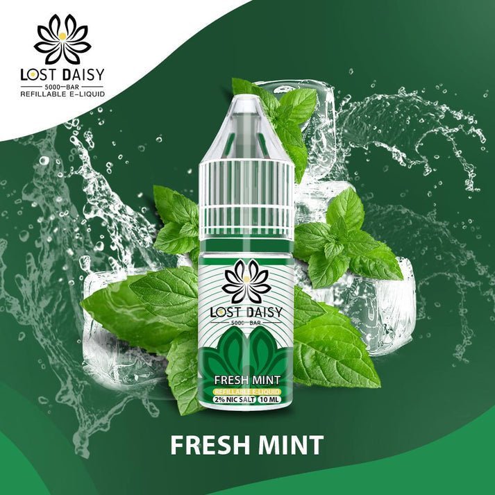 Lost Daisy 5000 Bar Salt 10ml - Box of 10-Fresh Mint-vapeukwholesale